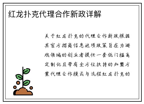 红龙扑克代理合作新政详解